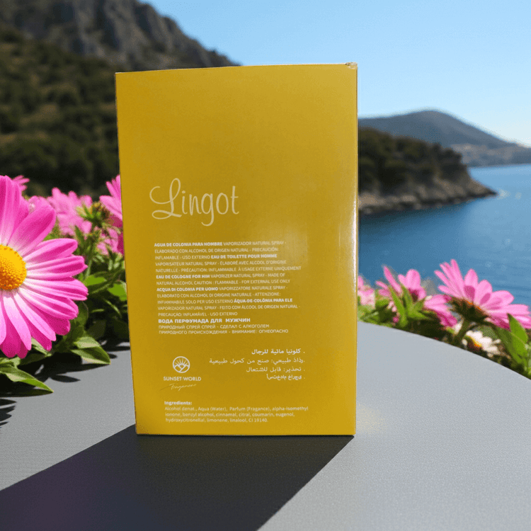 perfume one million paco rabanne masculino one million paco rabanne original perfume paco rabanne one million perfume importado masculino one million fragrância masculina one million paco rabanne